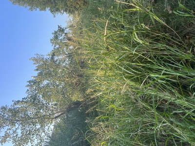 Κίνδυνος φωτιας