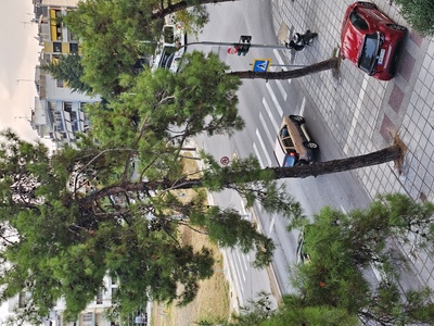 Περνάνε με κόκκινο και τρέχουν 