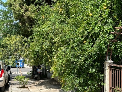 Δεν χωραει κοσμος να περασει απο το πεζοδορμ