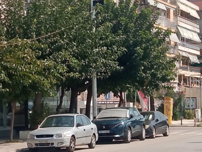 Κλάδεμα δέντρων 