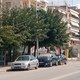 Κλάδεμα δέντρων