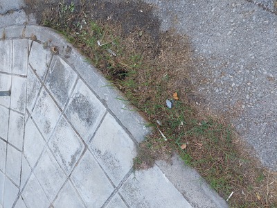 ΚΟΠΗ ΧΟΡΤΩΝ ΣΤΗΝ ΚΑΠΕΤΑΝΙΔΗ