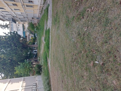 Κούρεμα χόρτων 