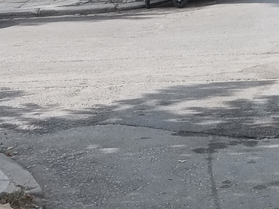 ΑΠΟΚΟΚΟΜΙΔΗ ΚΛΑΔΙΩΝ ΣΤΗΝ ΜΑΚΡΟΧΩΡΙΟΥ ΜΕ ΔΡΑΚΟΠΟΥΛΟΥ  ΓΩΝΙΑ 