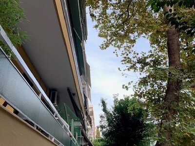 Επικίνδυνο Δέντρο