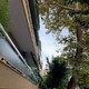 Επικίνδυνο Δέντρο