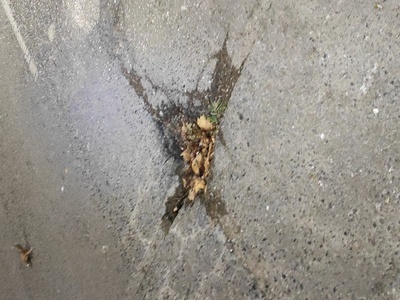 Τρύπα στο οδόστρωμα