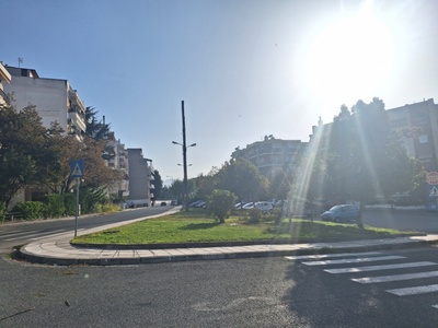 Φύτευση δένδρων 
