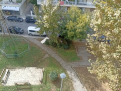 Κομμενα κλαδια