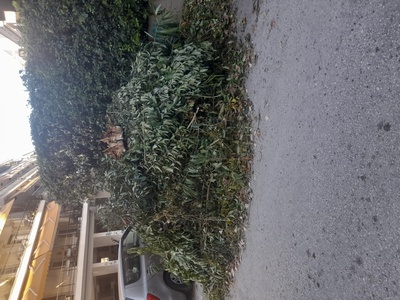 Αναγκη 