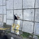 Κίνδυνος πτώσης πεζοδρομίου