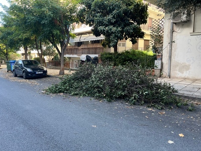 Κλαδια στον δρομο ΕΠΕΙΓΟΝ