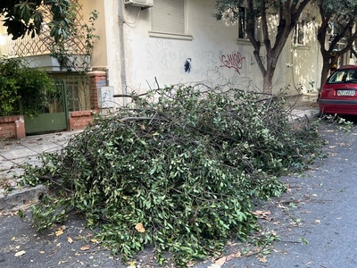 Κλαδια στον δρομο ΕΠΕΙΓΟΝ