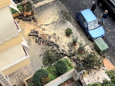 Κλαδια στον δρομο ΕΠΕΙΓΟΝ