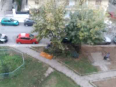 Αποκομιδη κλαδιων