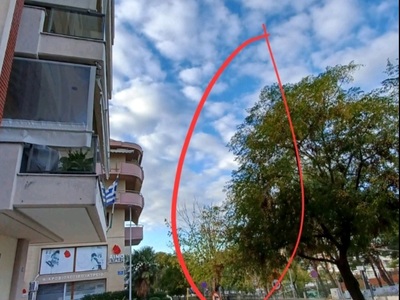 Κλάδεμα δέντρων 