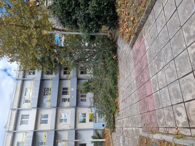 Πεσμενο δεντρο