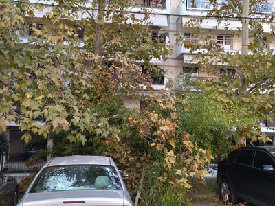 αποκομιδή κλαδιών δέντρου  από πτώση 