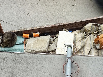 Βρωμιά σε στάσιμα οχηματα