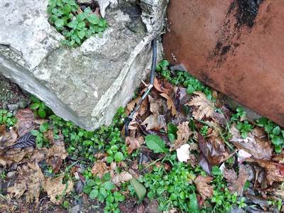 Επικίνδυνα καλώδια