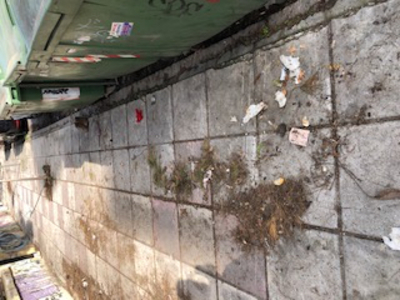 Υπολείμματα σκουπιδιών ζωοτροφων