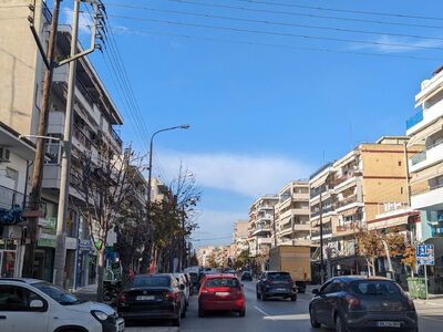 ΚΛΑΔΕΜΑ ΔΕΝΤΡΩΝ ΚΑΙ ΚΛΑΔΙΩΝ ΣΤΗΝ ΕΘΝΙΚΗΣ ΑΝΤΙΣΤΑΣΕΩΣ