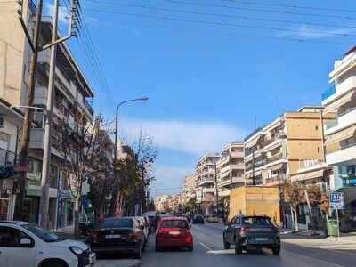 ΚΛΑΔΕΜΑ ΔΕΝΤΡΩΝ ΚΑΙ ΚΛΑΔΙΩΝ ΣΤΗΝ ΕΘΝΙΚΗΣ ΑΝΤΙΣΤΑΣΕΩΣ