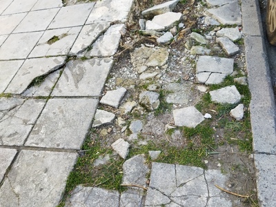 Κατεστραμμένο πεζοδρόμιο από ρίζα δέντρου