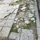 Κατεστραμμένο πεζοδρόμιο από ρίζα δέντρου