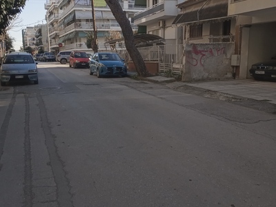 ΚΟΠΗ  ΕΠΙΚΙΝΔΥΝΟΥ  ΠΕΥΚΟΥ  ΣΤΗΝ  ΜΟΥΔΑΝΙΩΝ