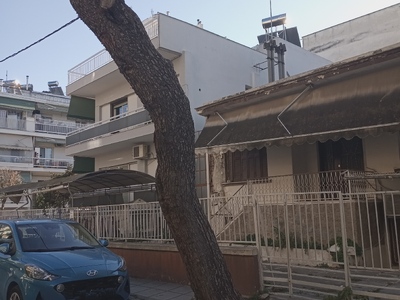 ΚΟΠΗ  ΕΠΙΚΙΝΔΥΝΟΥ  ΠΕΥΚΟΥ  ΣΤΗΝ  ΜΟΥΔΑΝΙΩΝ