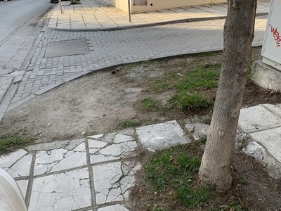 κατεστραμμενες δενδροδοχοι