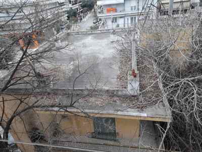 Ψηλά δέντρα με κλαδιά που σπάνε πάνω από κέντρο με παιδιά.