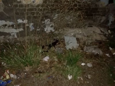 Ελλιπής αποκομιδή & καθαριότητα