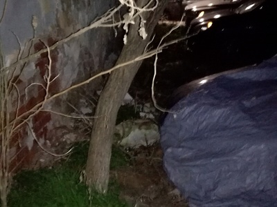 Ελλιπής αποκομιδή & καθαριότητα