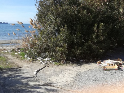 Ρύπανση παραλιακού μετώπου