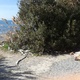 Ρύπανση παραλιακού μετώπου