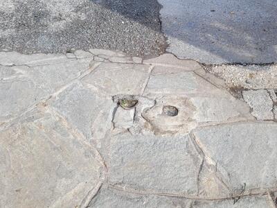 ΤΟΠΟΘΕΤΗΣΗ ΠΑΣΑΛΑΚΙΑ ΣΤΟΝ  ΠΕΖΟΔΡΟΜΟ  ΠΛΑΤΕΙΑ  ΣΚΡΑ