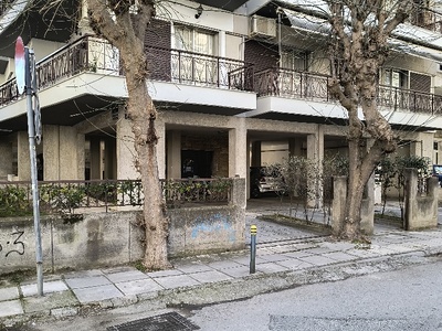 Ακλάδευτα δέντρα ξεχασμένα