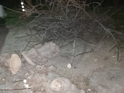 μαζεμα κλαδιών