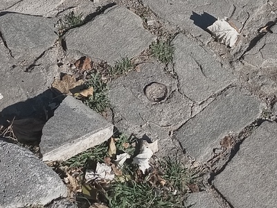 ΑΠΟΚΑΤΑΣΤΑΣΗ ΣΠΑΣΜΕΝΕΣ ΠΛΑΚΕΣ  ΣΤΟΝ ΠΕΖΟΔΡΟΜΟ  ΣΤΗΝ  ΠΛΑΤΕΙΑ ΣΚΡΑ