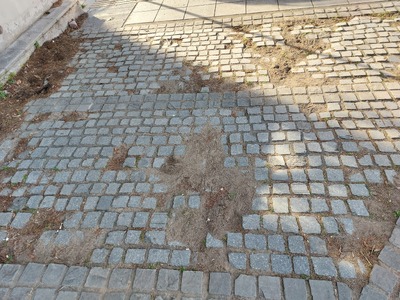 Φθορές στο Πάρκο Ζορμπά