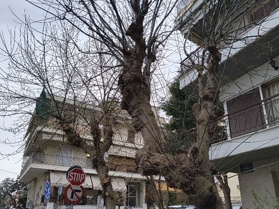 Μας κοροϊδεύετε;