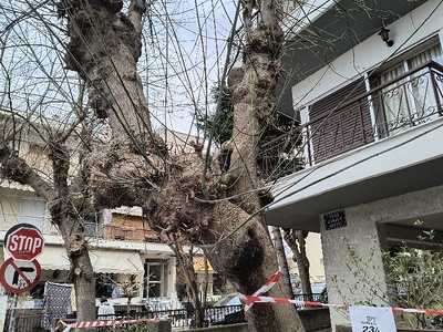 Μας κοροϊδεύετε;