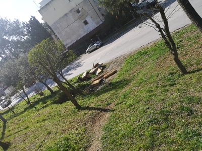 Πεταμένοι καναπέδες