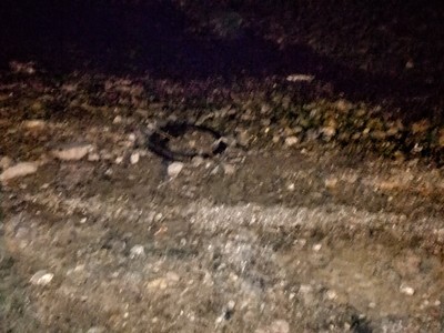 Ελλιπής αποκατάσταση καθαριότητας παραλιακού μετώπου