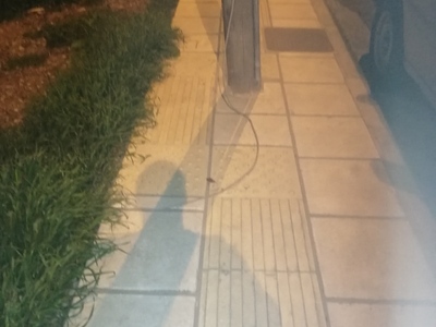 καλωδιο απο ξυλινη κολωνα    πεταμενο στο κρασπεδο