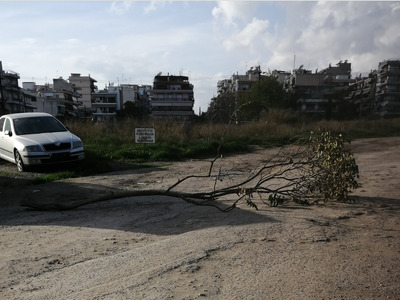 Αυτοκινητα παρατημενα μεσα στην αλανα  απεναντι απο την ταβερνα  ο βουδας
