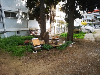 Αποκομιδή ογκωδών