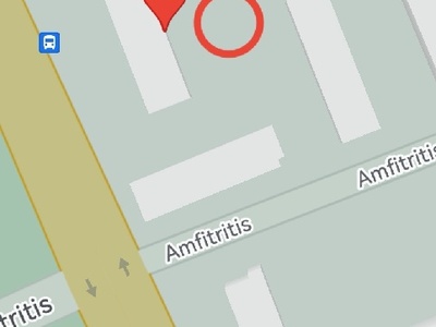 Πεταμένα κλαδιά